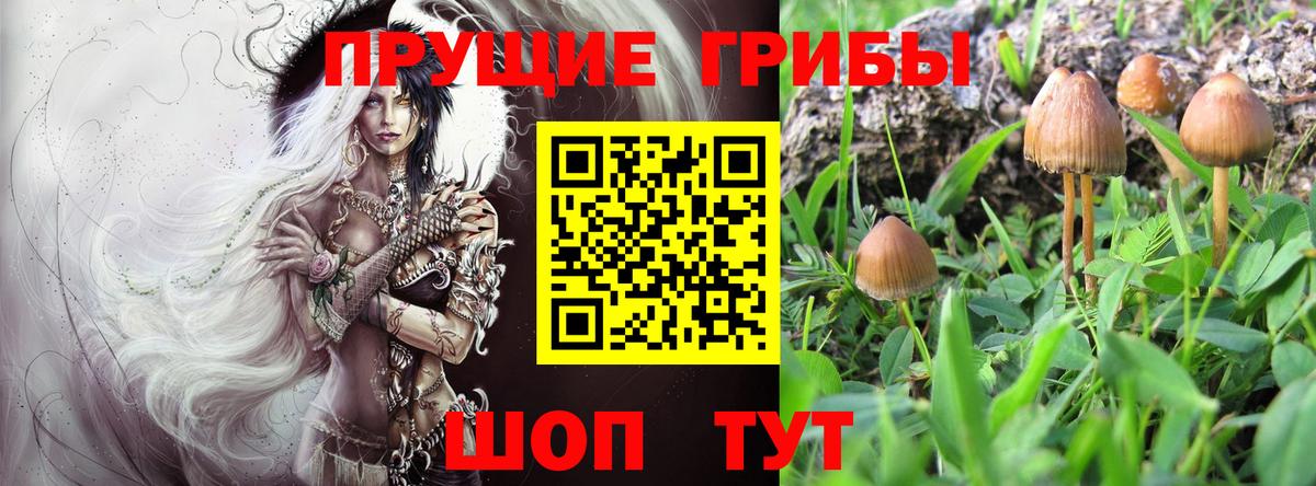 Галлюциногенные грибы Psilocybine cubensis  Псилоцибиновые грибы мухоморы  Вход с VPN  Тайшет 